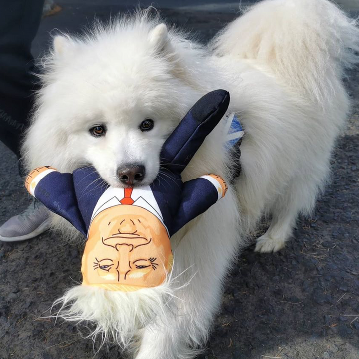 Donald Dog Toy