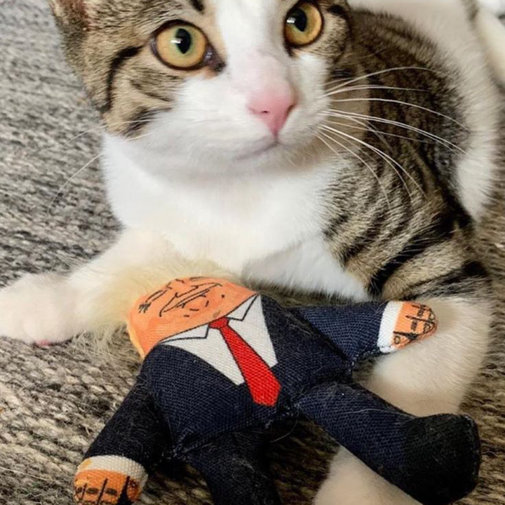 Donald Cat Toy