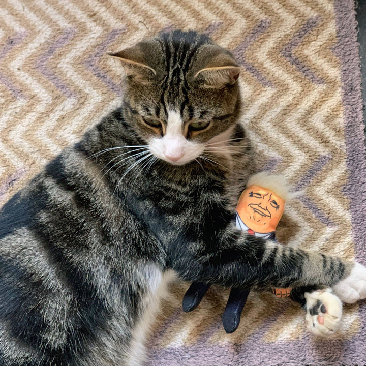 Donald Cat Toy