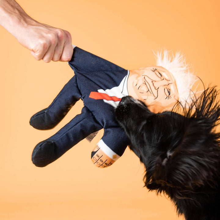 Dog playing with a puppet resembling a political figure on an orange background