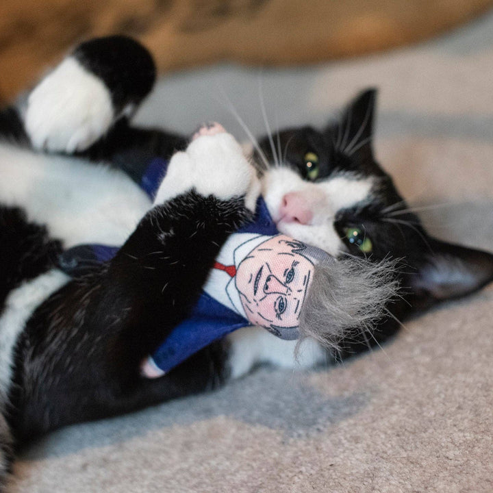 Black and white cat playing with a toy on a carpeted floor