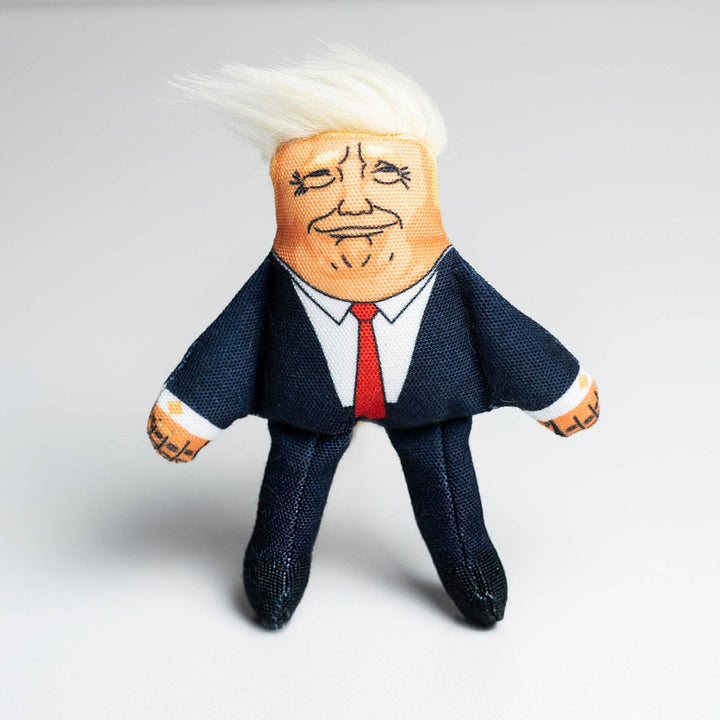 Donald Cat Toy