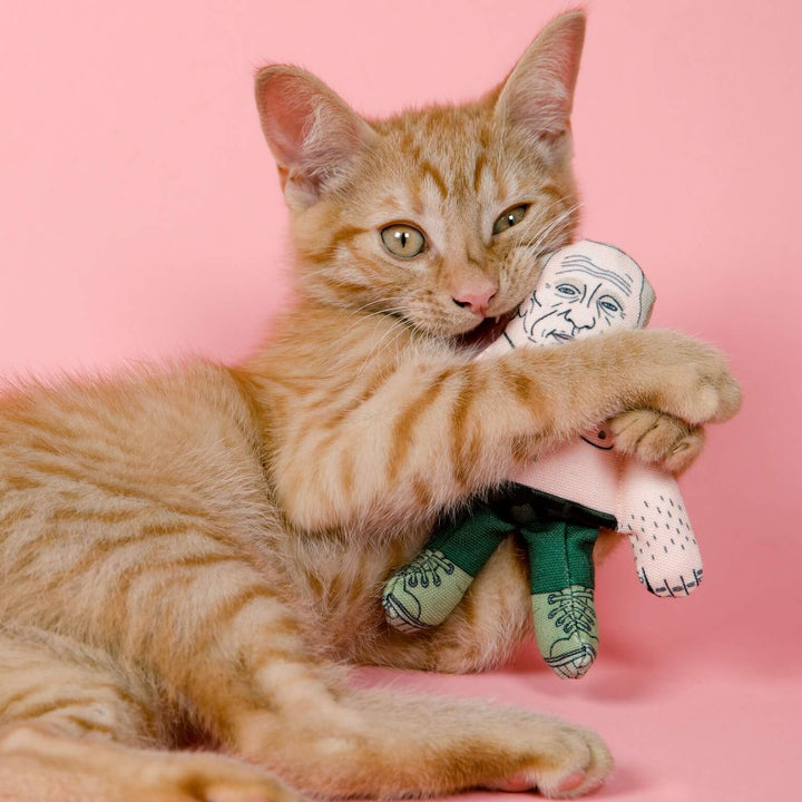Orange tabby kitten playing with a small plush toy on a pink background