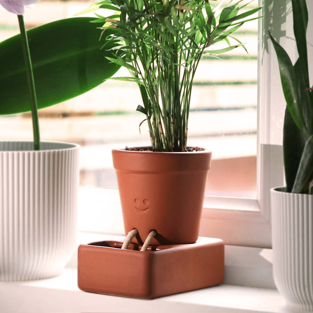 Self Watering Plant Pot