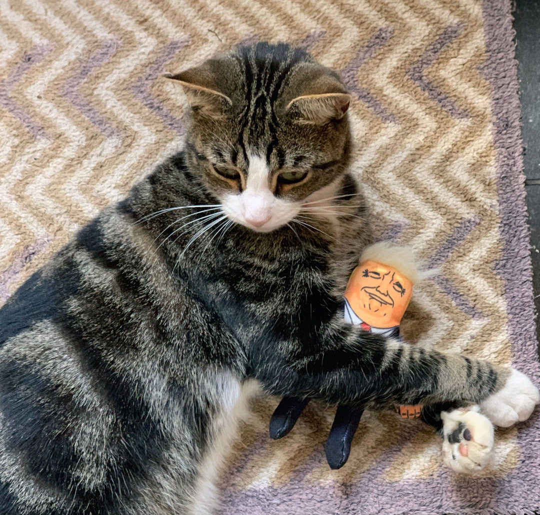 Donald Cat Toy