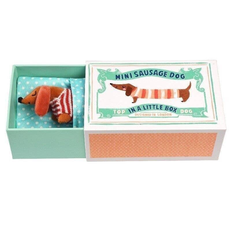 Mini Sausage Dog In A Little Box
