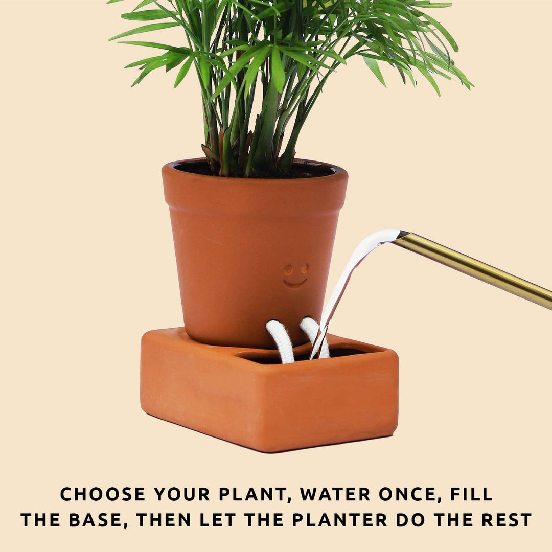 Self Watering Plant Pot