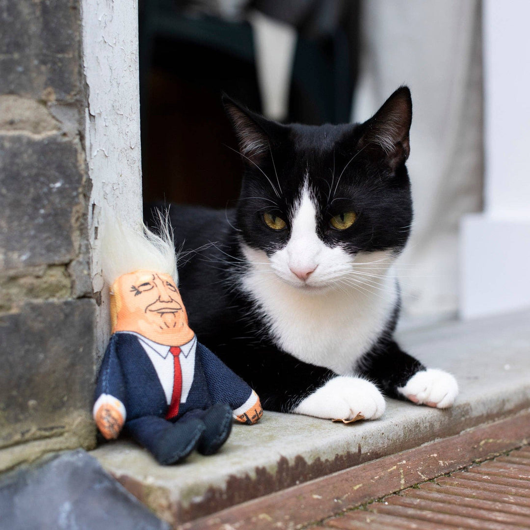 Donald Cat Toy