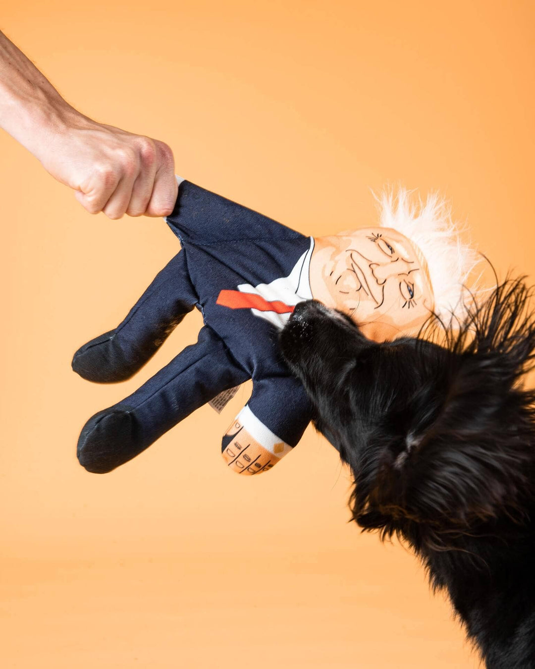 Dog playing with a puppet resembling a political figure on an orange background
