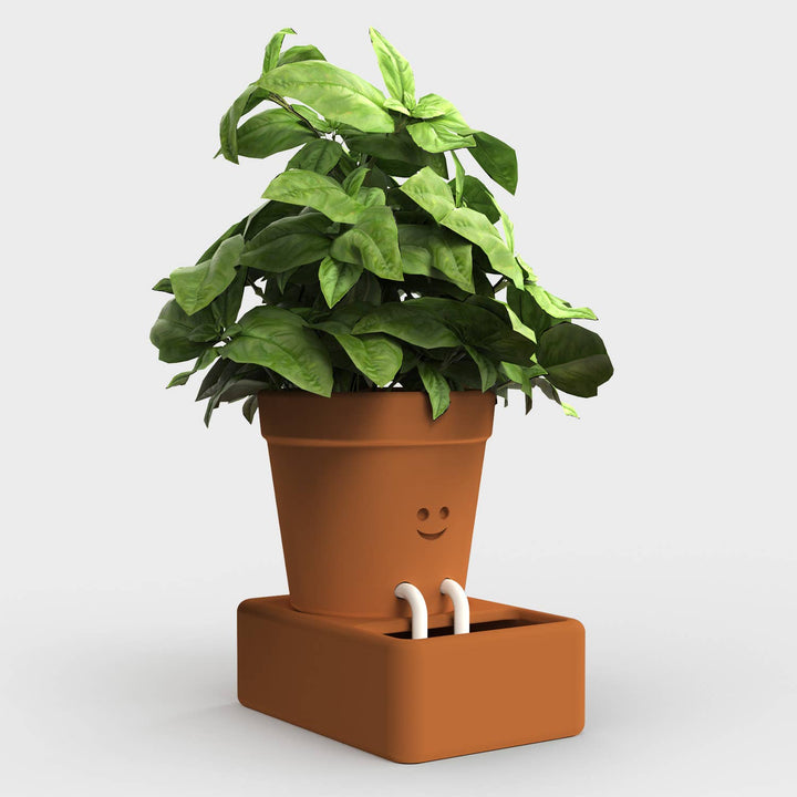 Self Watering Plant Pot