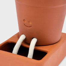 Load image into Gallery viewer, Self Watering Plant Pot