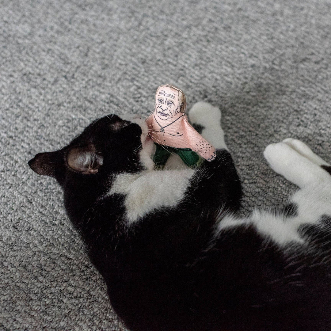 Vladimir cat toy