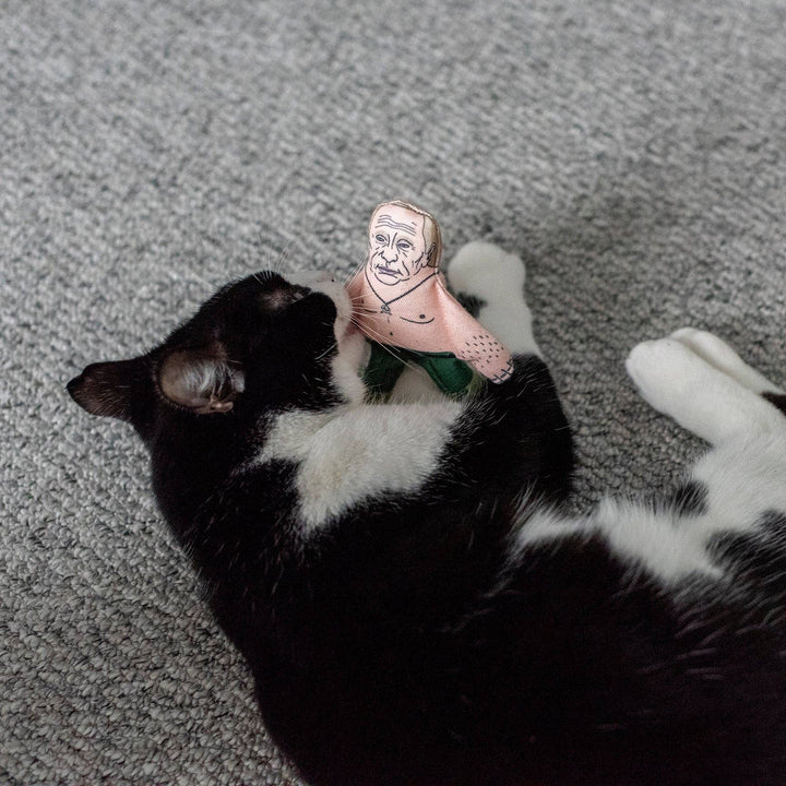 Vladimir cat toy