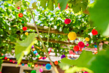 Load image into Gallery viewer, Fiesta Pom Pom Garland