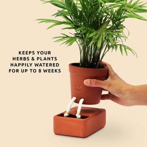 Self Watering Plant Pot