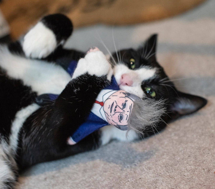 Black and white cat playing with a toy on a carpeted floor