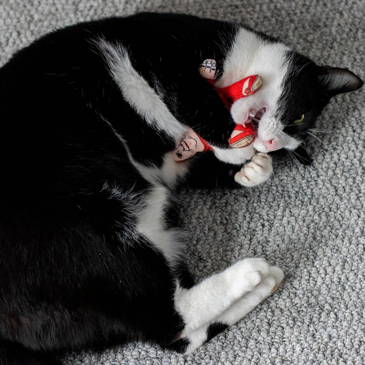 Nicola Sturgeon cat toy