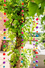 Load image into Gallery viewer, Fiesta Pom Pom Garland