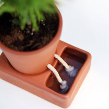 Load image into Gallery viewer, Self Watering Plant Pot