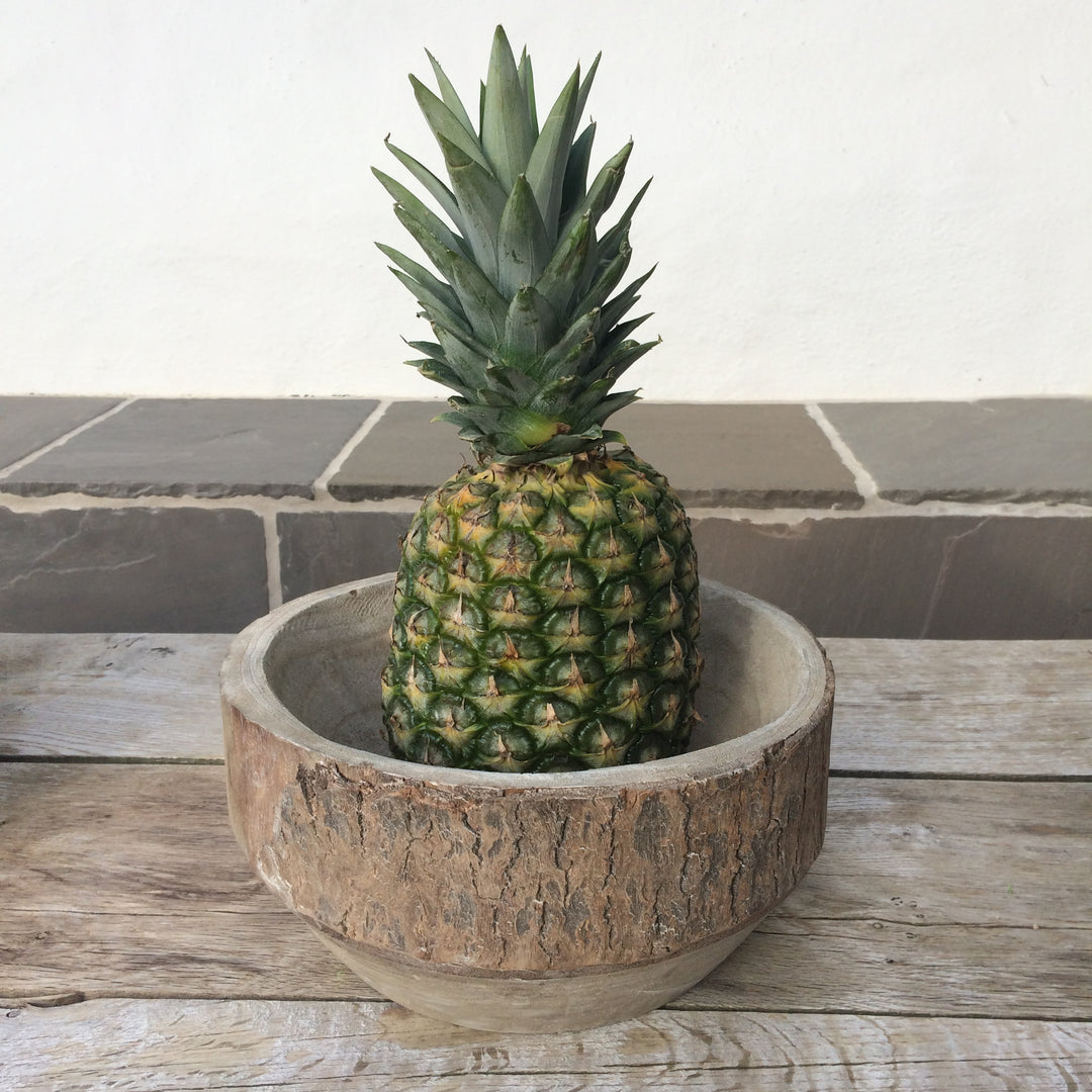 Wooden Bowl perfect for displaying fruit or other  products